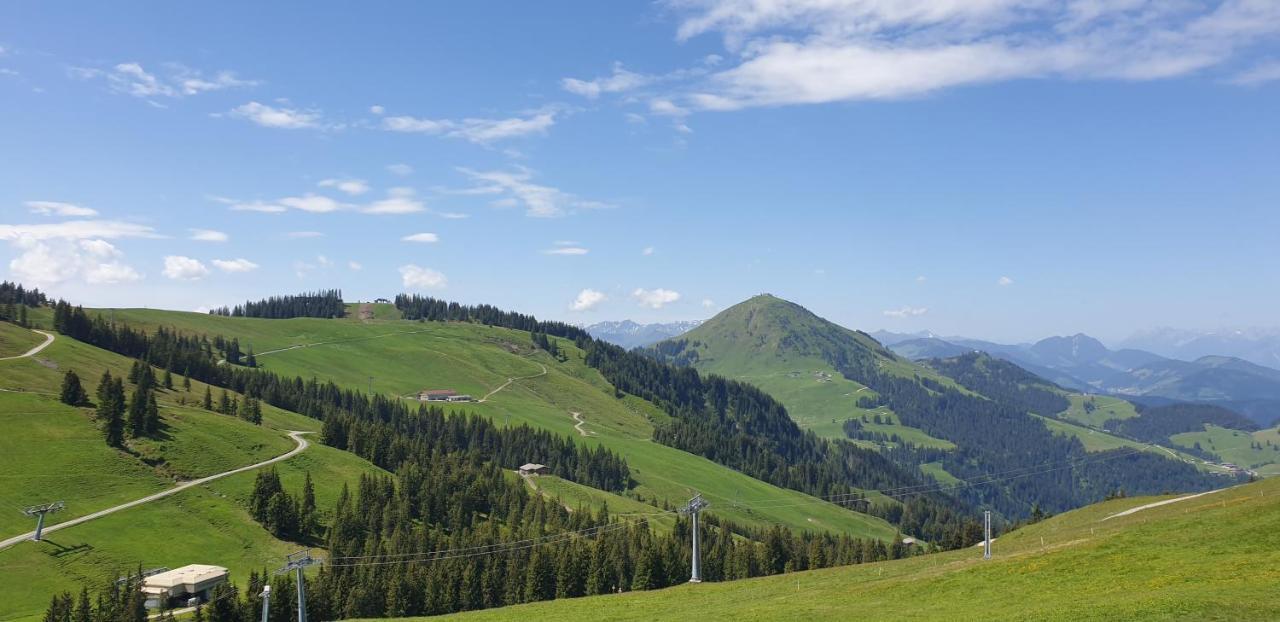 Ferienwohnung Sappl Scheffau am Wilden Kaiser Exterior photo