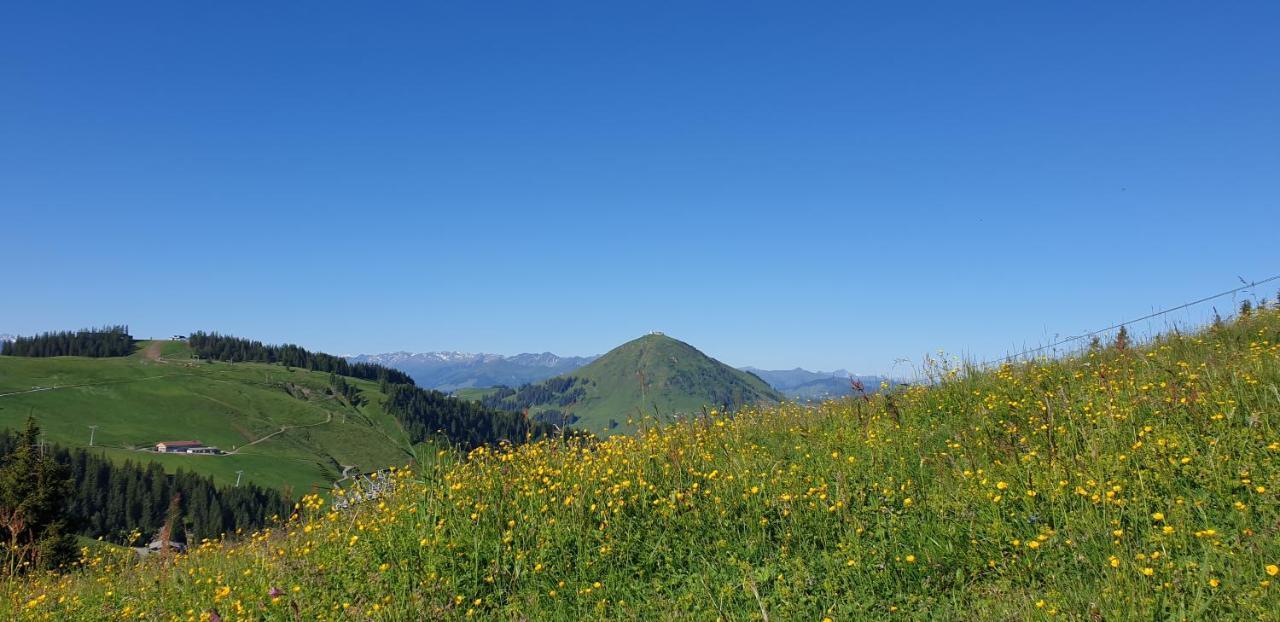 Ferienwohnung Sappl Scheffau am Wilden Kaiser Exterior photo