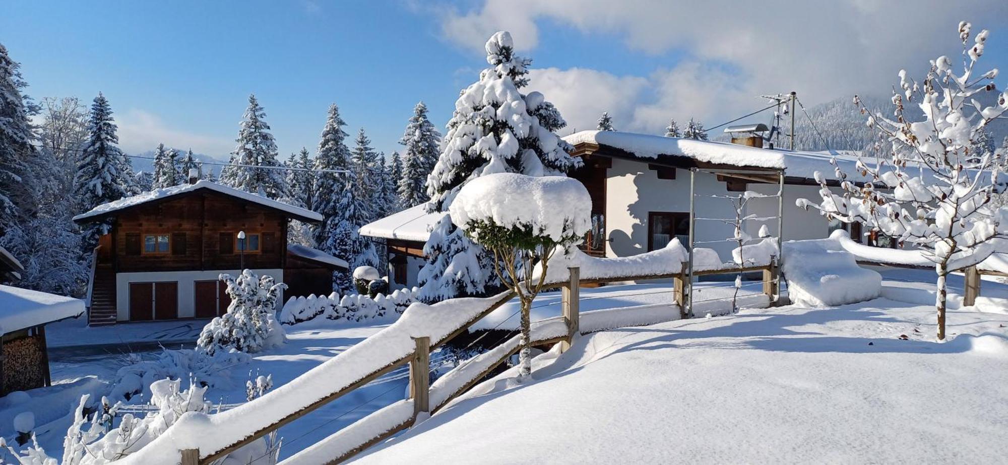 Ferienwohnung Sappl Scheffau am Wilden Kaiser Exterior photo
